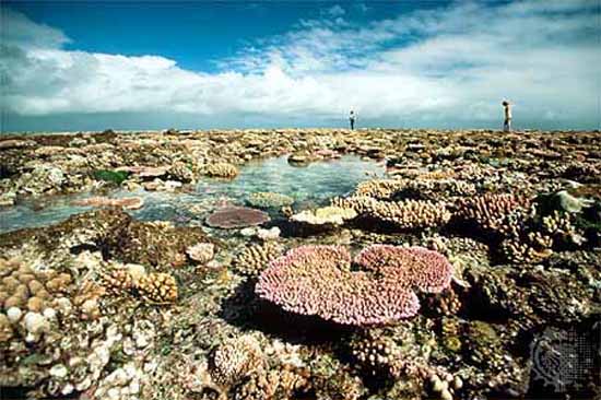 australia-great-reef-barrier-10