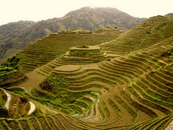 Banaue Rice Terraces, in Ifugao Stairway to Heaven Philippines _13