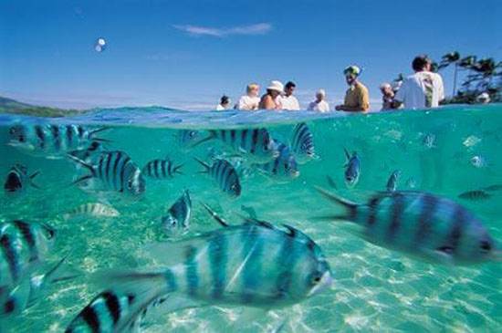 fiji-the-romantic-paradises-island-melanesia-6