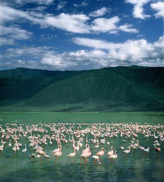Ngorongoro Crater The Garden of Eden in Africa Tanzania (4)