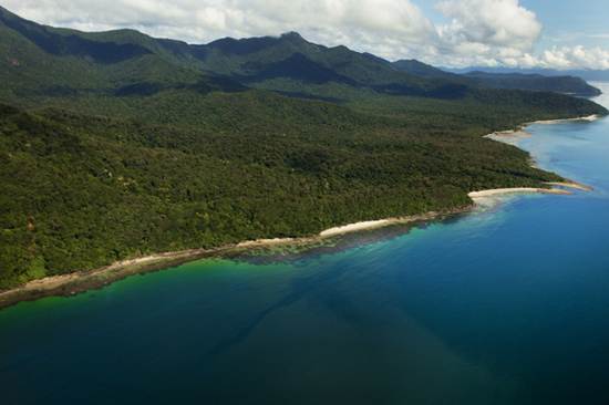 daintree-the-oldest-continuously-living-rain-forest-12