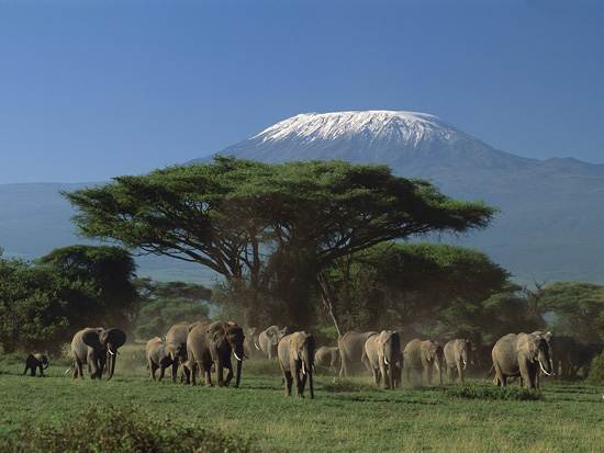 mount-kilimanjaro-mountain-of-light-7
