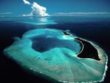 Palau The Black Islands one of  7 Underwater Wonder of the World.
