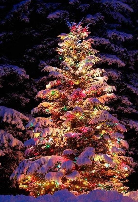 Fantastic-Christmas-Holiday-Lights-Display_07
