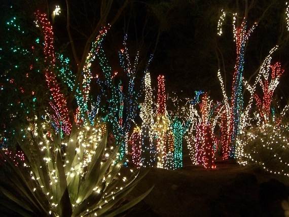 Fantastic-Christmas-Holiday-Lights-Display_34