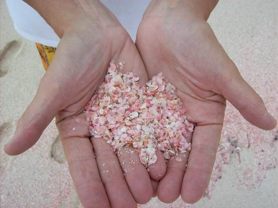 Pink-Sand-Beach-in-Harbour-Island-Bahamas-_12