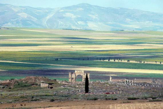 Archaeological-Site-of-Volubilis-Morocco_231