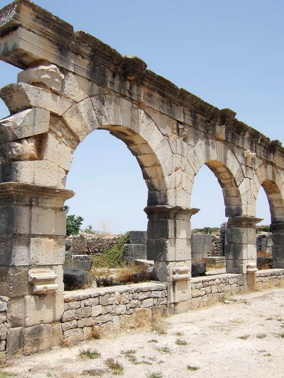 Archaeological-Site-of-Volubilis-Morocco_251