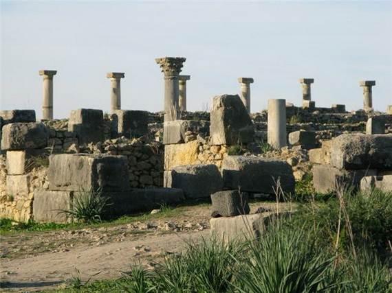 Archaeological-Site-of-Volubilis-Morocco_301