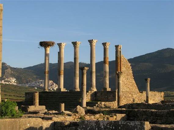 Archaeological-Site-of-Volubilis-Morocco_321
