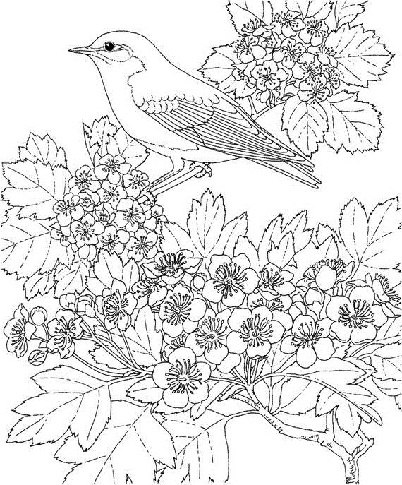 adult-colouring-pages-easter-_10