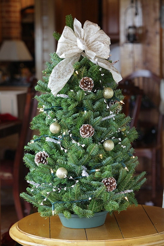 40 Small Christmas Trees - Christmas Celebration - All about Christmas