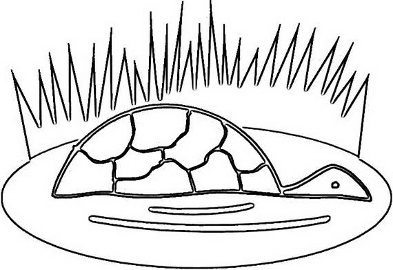 Australia- Day- Coloring- Pages- for- Kids_28