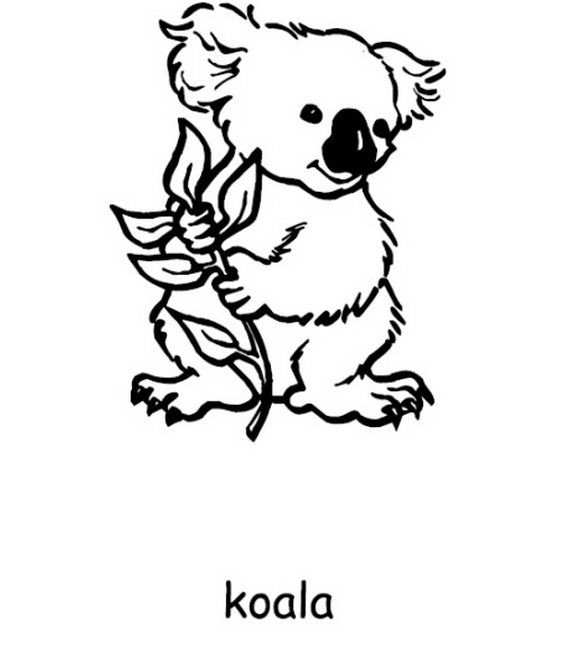 Australia- Day- Coloring- Pages- for- Kids_43
