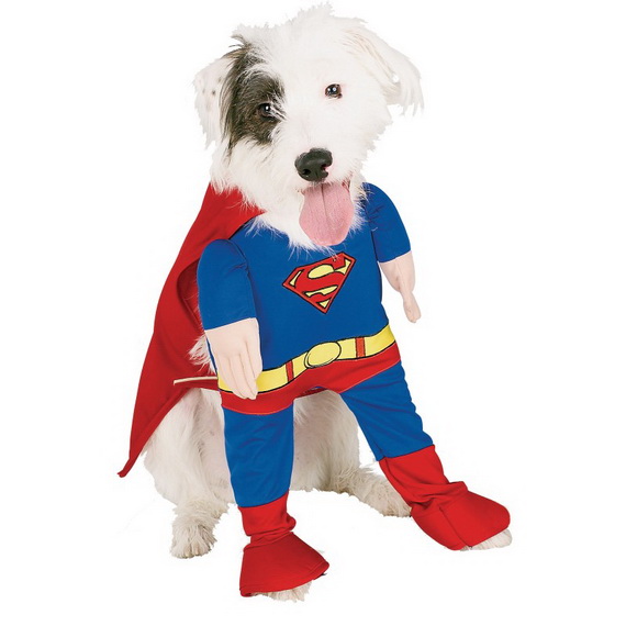 Unique and Beautiful Halloween Costumes Ideas for Pets_01
