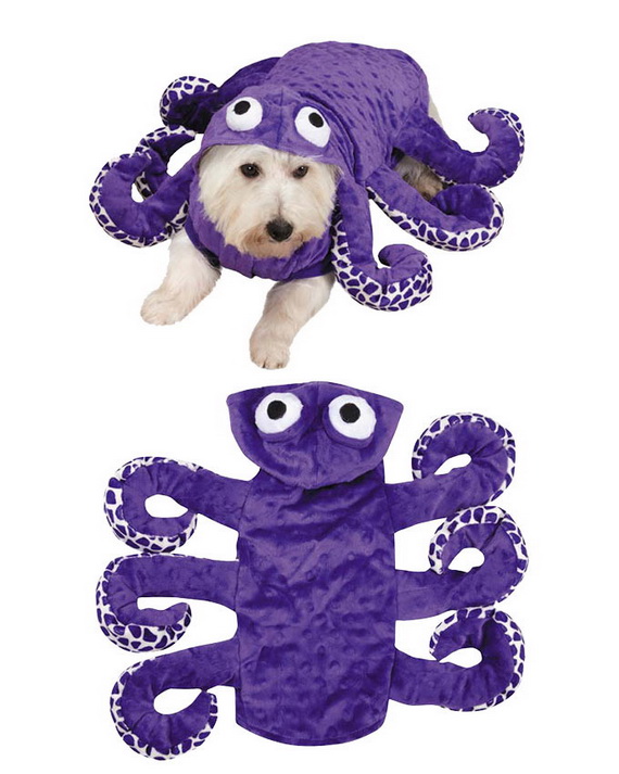 Unique and Beautiful Halloween Costumes Ideas for Pets_18