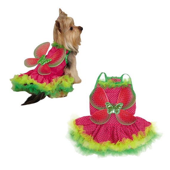 Unique and Beautiful Halloween Costumes Ideas for Pets_20