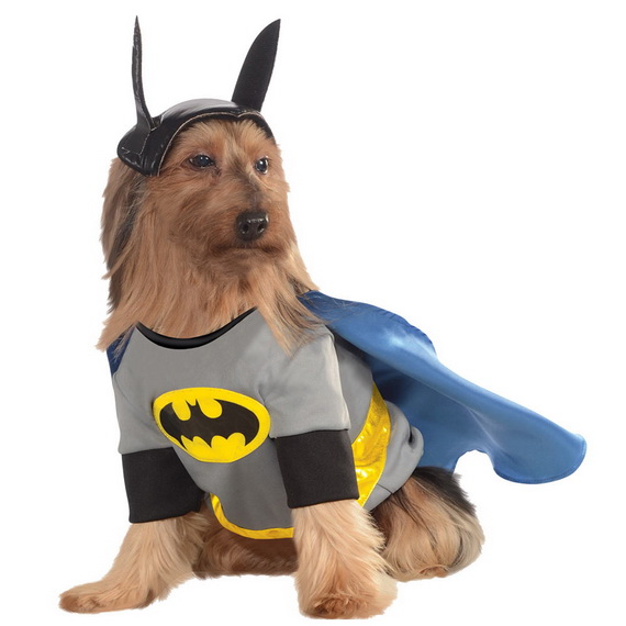 Unique and Beautiful Halloween Costumes Ideas for Pets_22