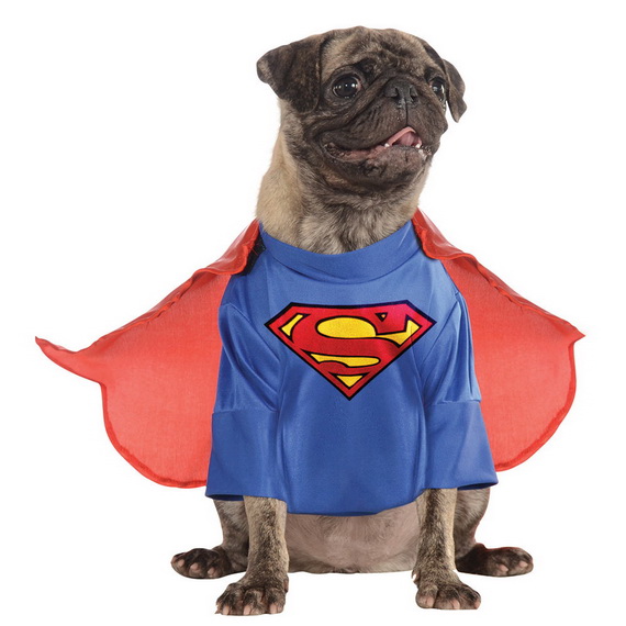 Unique and Beautiful Halloween Costumes Ideas for Pets_23