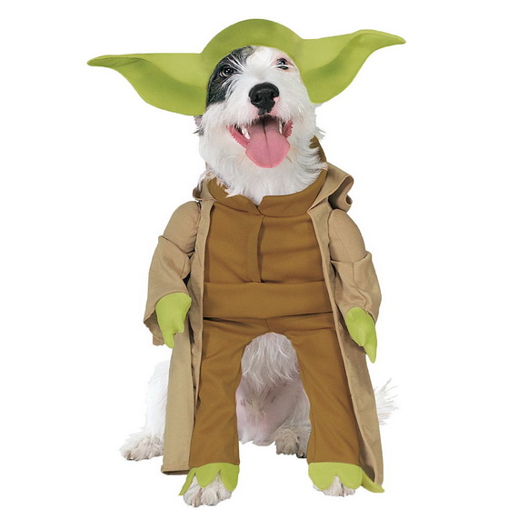 Unique and Beautiful Halloween Costumes Ideas for Pets_24