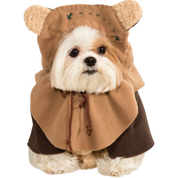 Unique and Beautiful Halloween Costumes Ideas for Pets_25