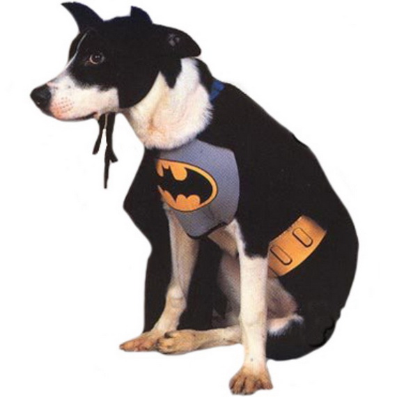 Unique and Beautiful Halloween Costumes Ideas for Pets_27