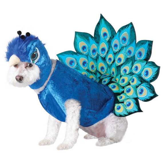 Unique and Beautiful Halloween Costumes Ideas for Pets_36
