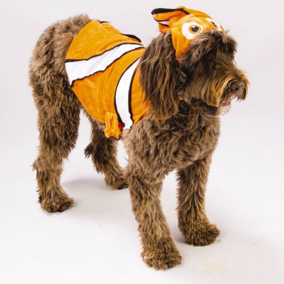 Unique and Beautiful Halloween Costumes Ideas for Pets_41