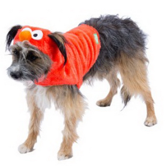 Unique and Beautiful Halloween Costumes Ideas for Pets_45