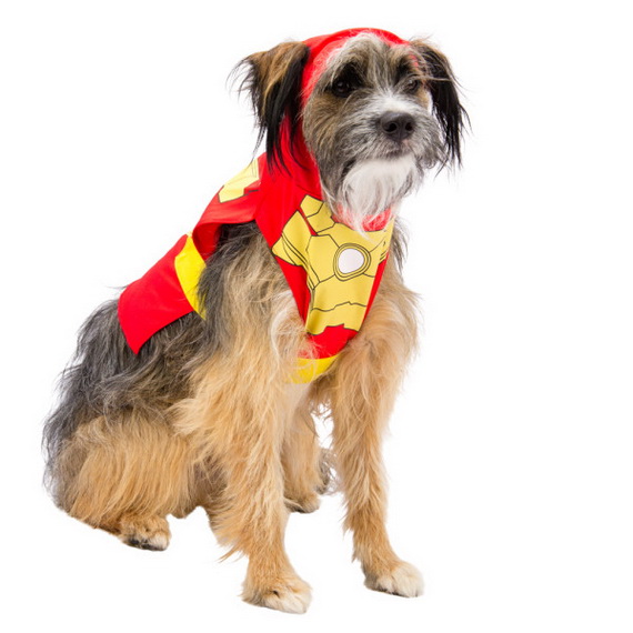 Unique and Beautiful Halloween Costumes Ideas for Pets_48
