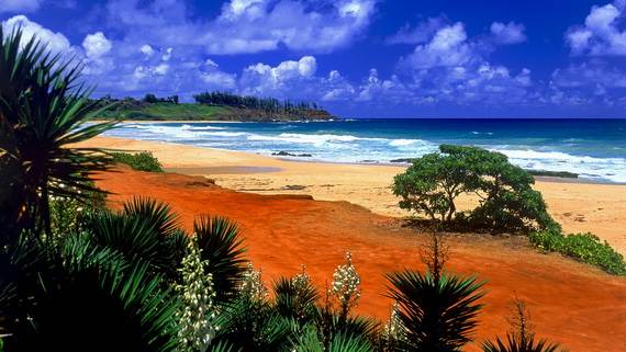 A-Seven-Day-Beach-Vacation-The-Relaxing-Hawaiian-Islands-_30