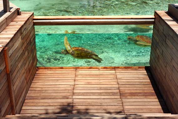 Best-Overwater-Bungalows-In-Tahiti-Le-Meridien-Bora-Bora-_14