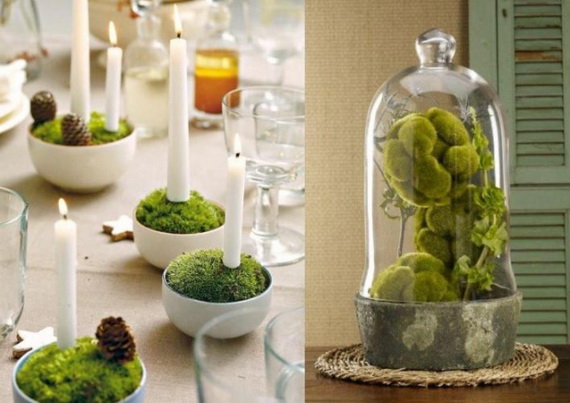 Fresh Spring Decorations Ideas - Decorate And Tinker With Moss_55