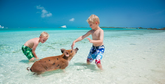Make Memories that Will Last a Lifetime at Sweetwater Fowl Cay Resort Bahamas_09