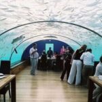Ithaa-Fabulous-Underwater-Restaurant-Hotel-in-Maldives_10