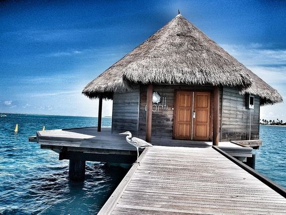 Ithaa: Fabulous Underwater Restaurant & Hotel in Maldives