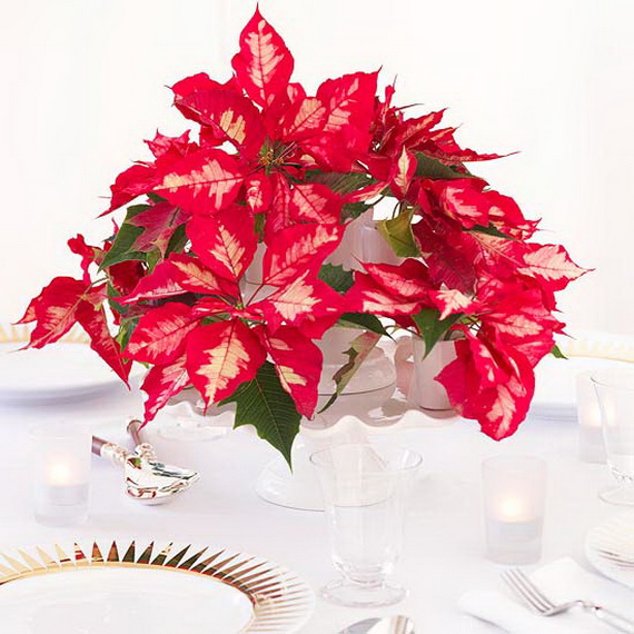 Decorate Christmas with 45 ideas poinsettias the holidays’ most loved plant_10