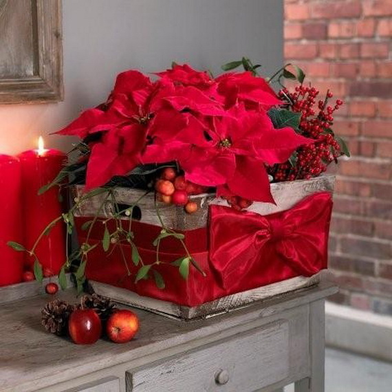 Decorate Christmas with 45 ideas poinsettias the holidays’ most loved plant_13