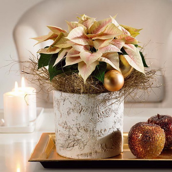 Decorate Christmas with 45 ideas poinsettias the holidays’ most loved plant_31