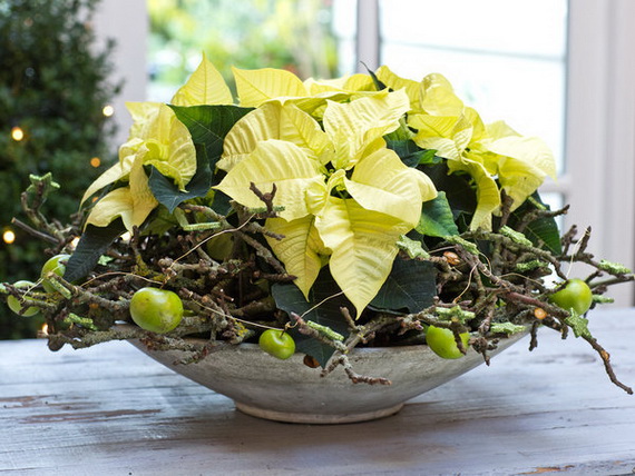 Decorate Christmas with 45 ideas poinsettias the holidays’ most loved plant_42