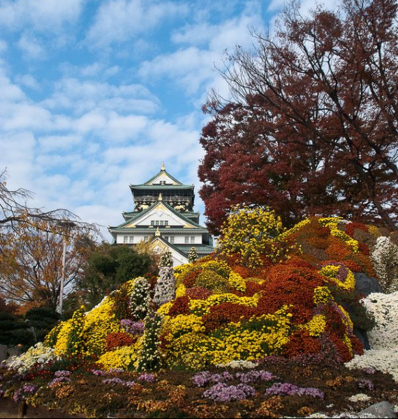 The Harmony and Beauty outside the Osaka Castle Japan (19)