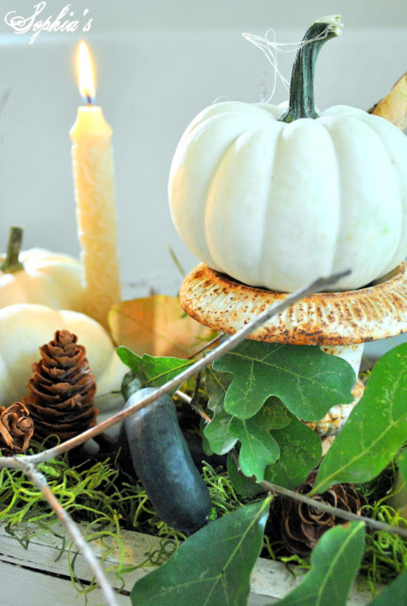 Warm and Inviting Thanksgiving Centerpiece Ideas  (8)