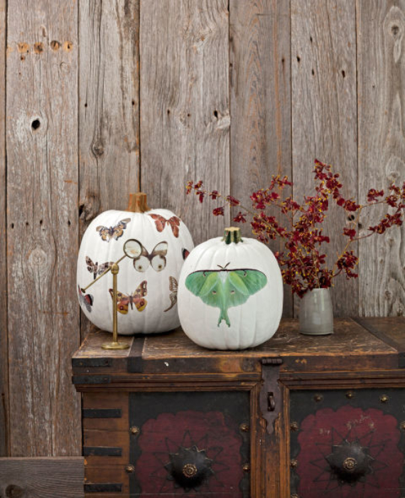 New Ways to Decorate Your Halloween Pumpkins (12)