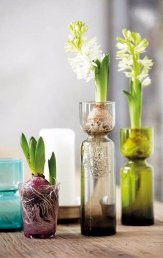 Bringing Spring Home 55 Gorgeous Greenery Touches Inspired by Nature (42)