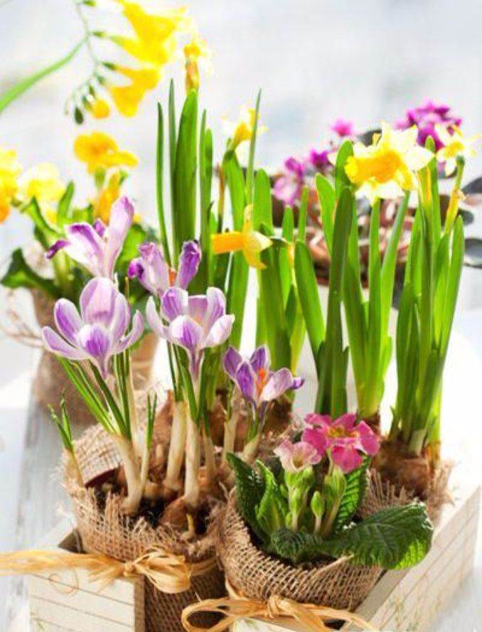 Bringing Spring Home 55 Gorgeous Greenery Touches Inspired by Nature (6)