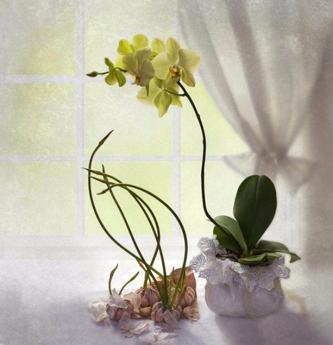 elegant-flower-arrangements-table-centerpiece-ideas-20