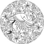 flamingo-mandala-coloring-page