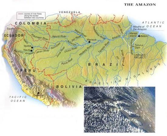 amazon-the-worlds-largest-rainforests-3