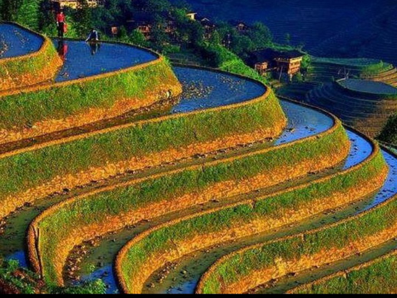 Banaue Rice Terraces, in Ifugao Stairway to Heaven Philippines _02