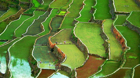 Banaue Rice Terraces, in Ifugao Stairway to Heaven Philippines _03